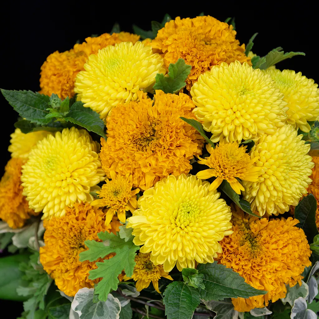 瑞々しいパープルのトルコキキョウと、洗練されたグリーンのコントラストが美しい近景